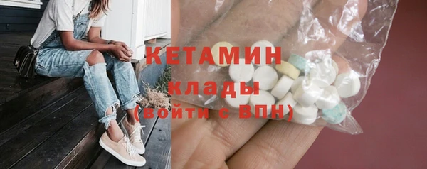 крисы Тында