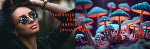 тгк Дмитров