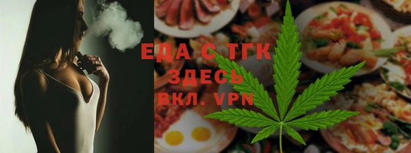 тгк Дмитров