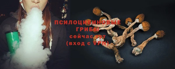 тгк Дмитров