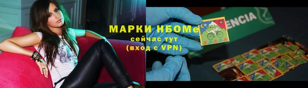 шишки Гусь-Хрустальный
