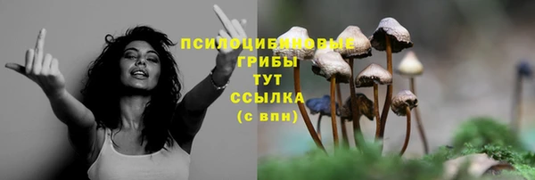 марихуана Дмитровск