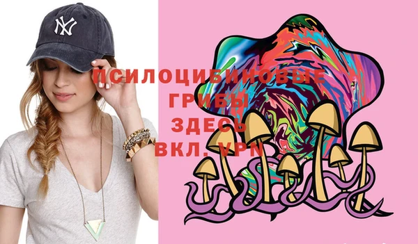 шишки Гусь-Хрустальный