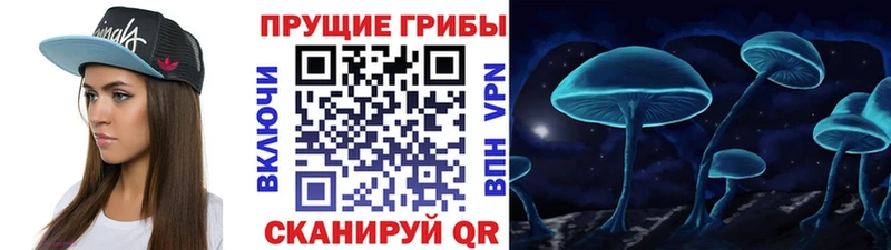 Псилоцибиновые грибы мухоморы  Купить закладки  Искитим 